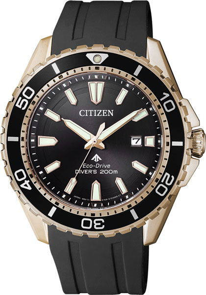 Наручные часы Citizen BN0193-17E. Фото 0.