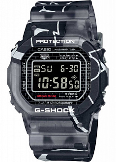 DW-5000SS-1